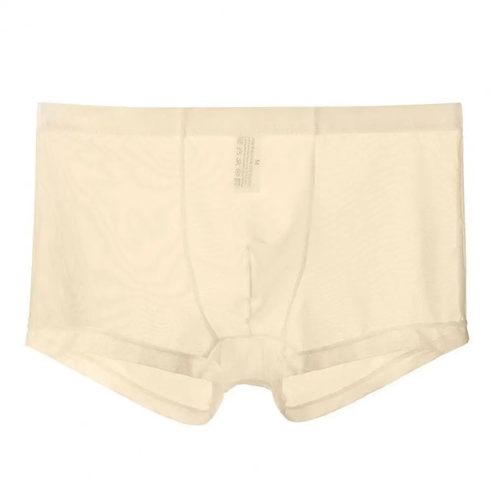 Men Boxers Breathable Elastic Mesh Low Waist Ice Silk Cooling Anti septic See through Panties Underwear