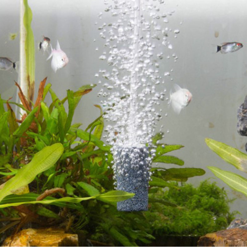 pcs Air Bubble Stone Aquarium Fish Tank Aerator Pump Hydroponics Oxygen Diffuser Mineral Bubbles Accessories 5