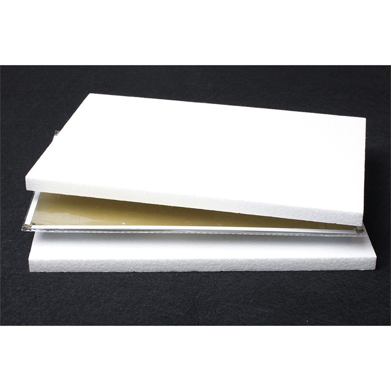 Brotherhood Compatible with Ford Mustang GT Fastback Year 1971 Front of Car Metal Tin Aluminum Novelty Accessories License Plate