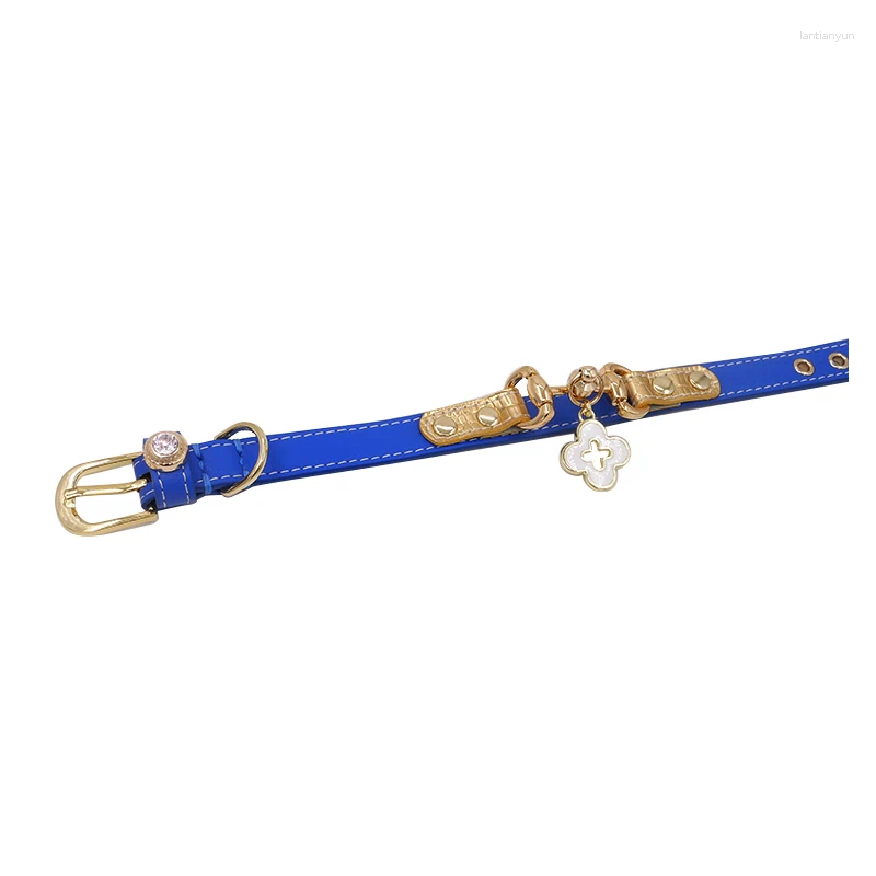 Dog collar; pet collar; leather; high-end designer collar; blue and black collar.