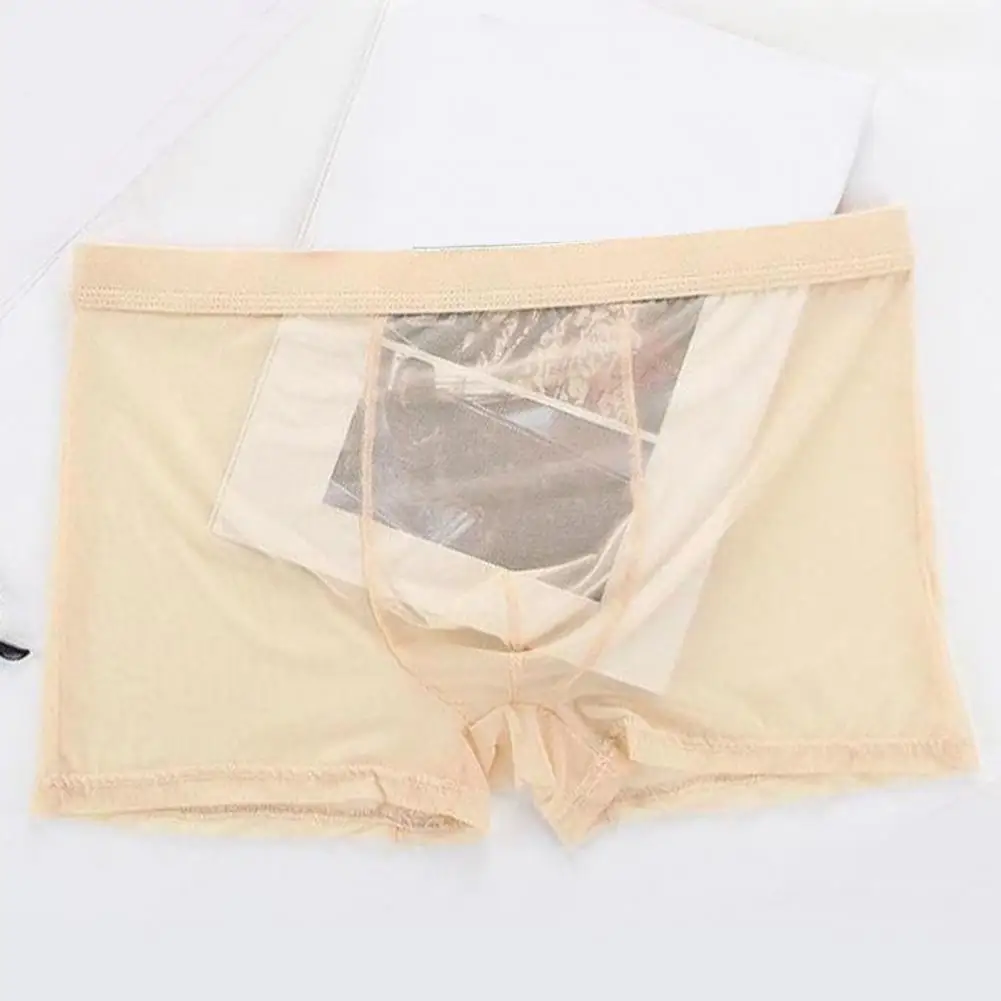 Men Boxers Breathable Elastic Mesh Low Waist Ice Silk Cooling Anti septic See through Panties Underwear