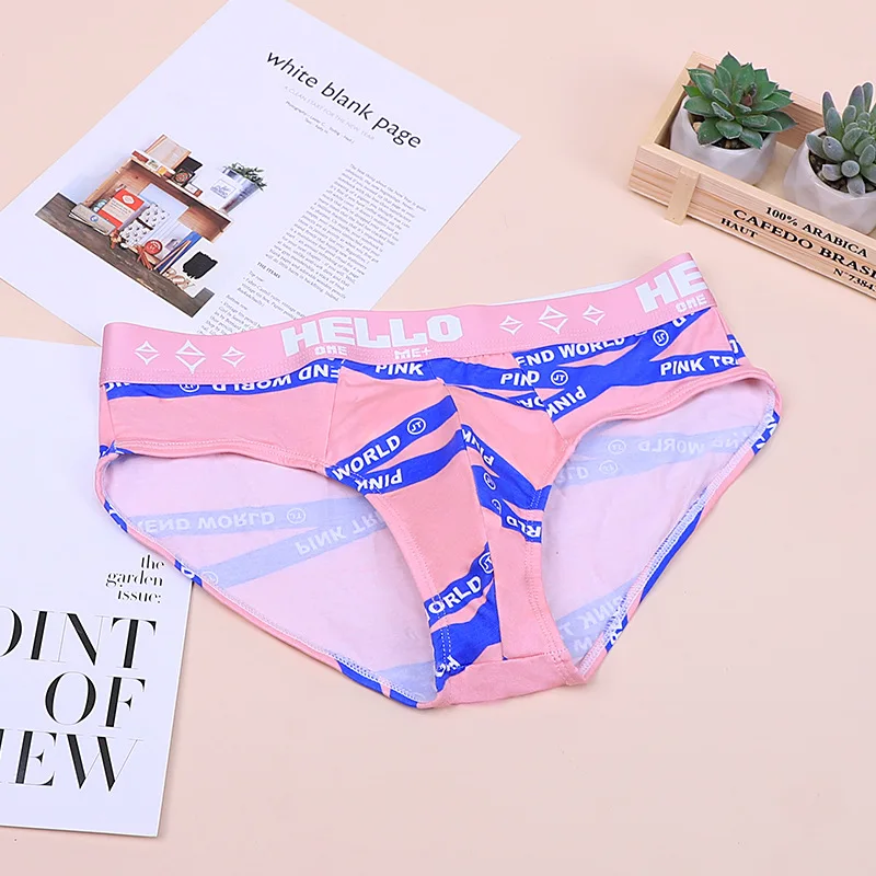 ANDERSON TALISCA Brand Pink Underwear Men Brief Sexy Panties Mens Briefs BoxerShorts Man Male Underpants Plus Size M XL A