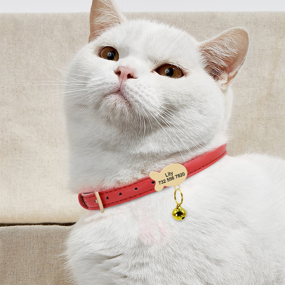 Cute Cat Personalized ID Collar Engraved Kitten Puppy Name Collars Necklace For Small Medium Cats With Bell Fish Tag Nameplate