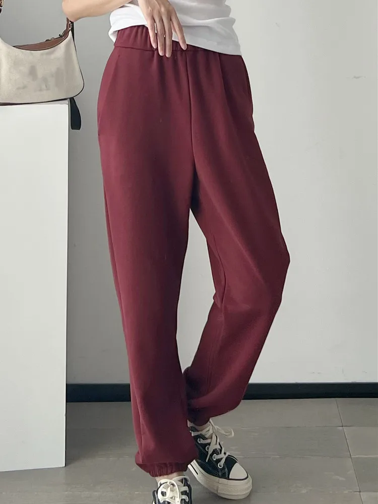 Women Big Letter Print Hooded Sweatshirt Loose Drawstring Hoodies or Elastic Waist Sweatpants Female Sports Set Autumn