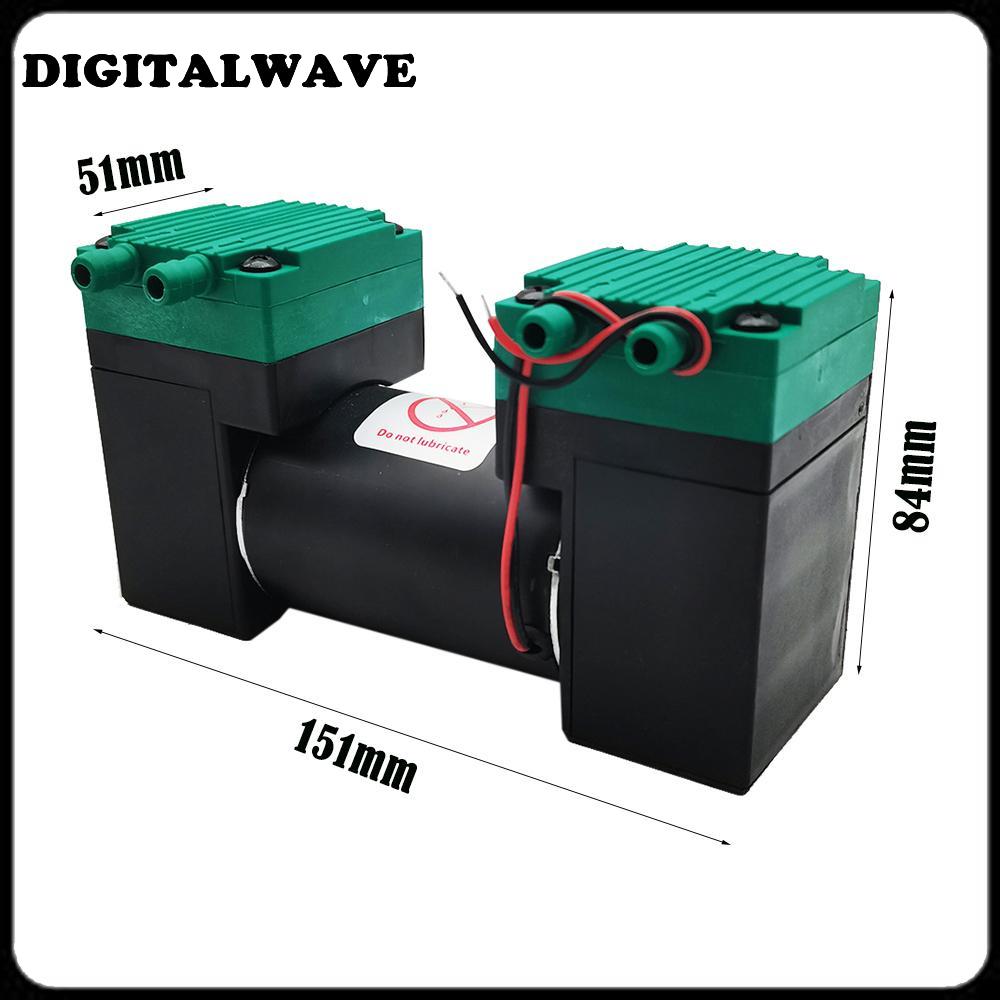 12V 24V 220V Micro Vacuum Electric Silent Small Air Double Heads Diaphragm Pump 20L/MIN SY-020