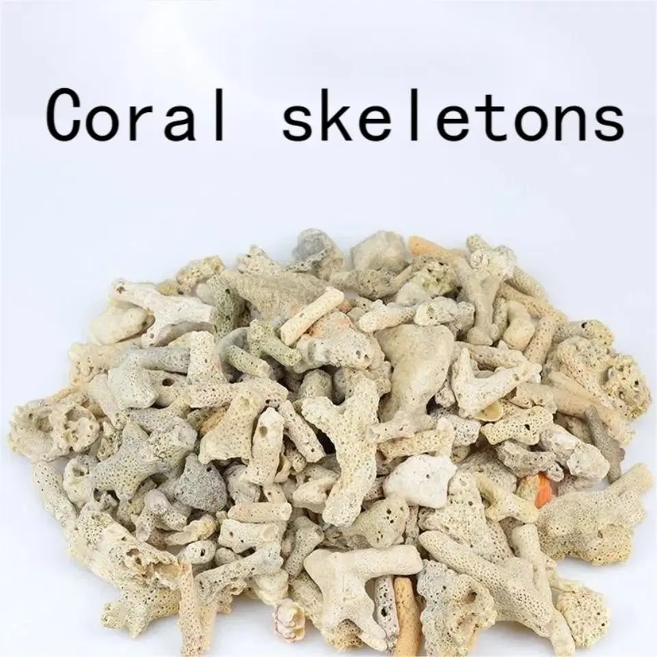 Coral Bone Fish Tank Filter 2025 Material High Quality Coral new Sand Coral Stone Broken Coral Bone Decorative Aquarium Landscape Filter