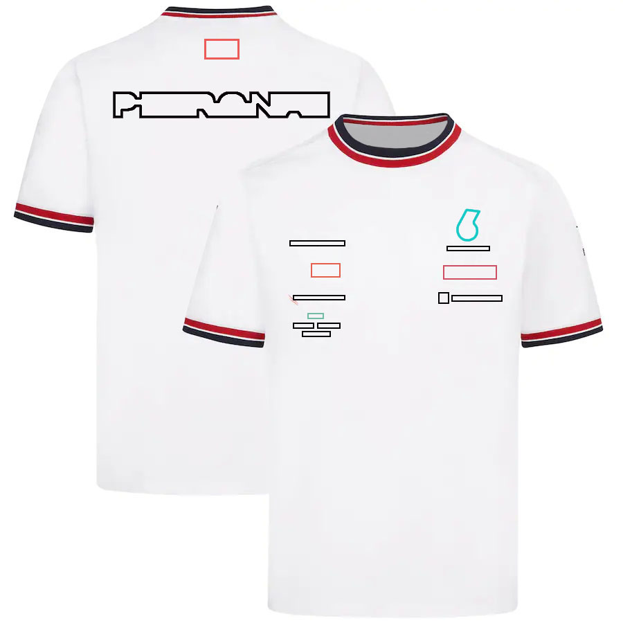 Formula 1 Team F1 Racing T-shirts Short Sleeves Summer Men Women Pus Size Polo Shirt T-shirt Extreme Sports Jersey free shipping