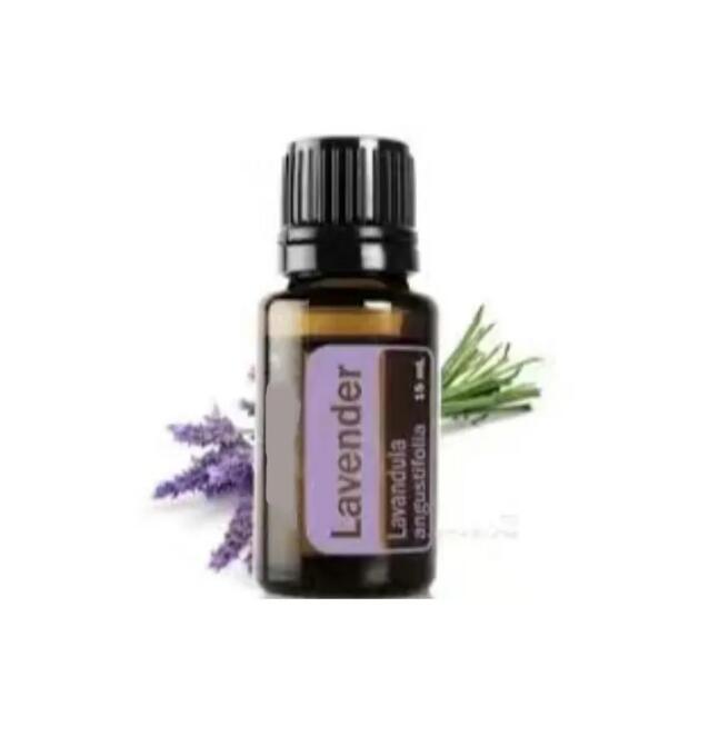 STOCK Essential Oil 15ml Women Perfume Collecting Serenity Lemongrass On Guard Lavender Balance Patchouli Long Lasting Good Smell Fragrance