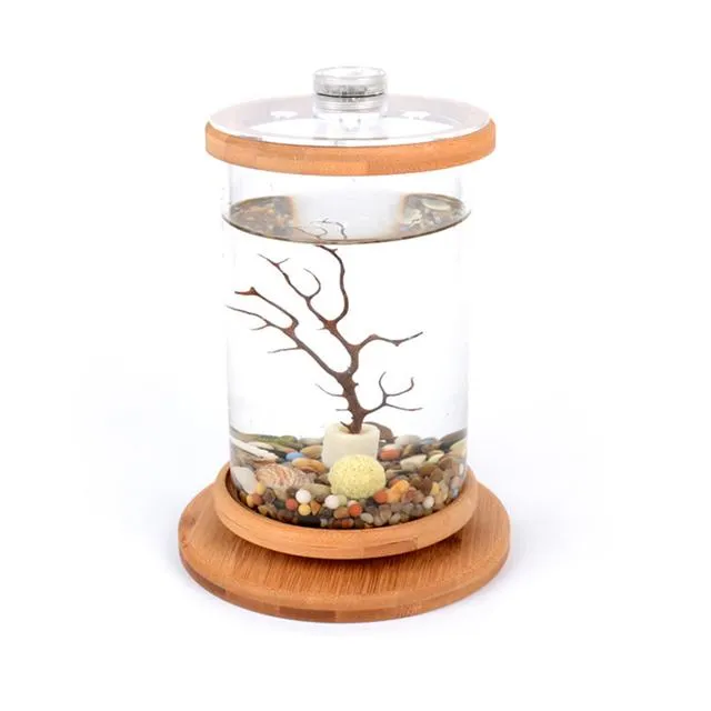 Aquariums 360 Degree Rotating Glass Betta Fish Tank Bamboo Base Mini Decoration Rotate Bowl Aquarium Accessories For Office9076310 Dro Dhsbe