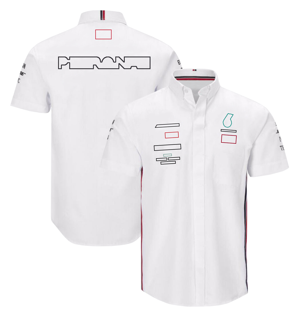 2023 New F1 Shirts Formula 1 Racing Polo Shirt Summer Men's Sport Breathable Jersey Custom Team Uniform Workwear Casual T-Shirt free shipping