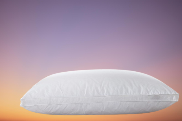 Home Textile Sleeping Pillow 100 goose down light white Pillow Zero Pressure Memory Neck Health 4874cm cotton5054066