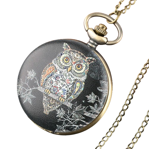 Exquisite Lovely Owl Design Pocket Watch Vine Quartz Analog Watches Necklace Chain Clock Gifts for Men Women Kids