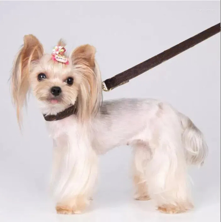 Dog Collar Classic Flower Designer Letters Pattern Print Leashes PU Leather Fashion Casual Adjustable Dogs Cats Neck Strap Pet Supplies