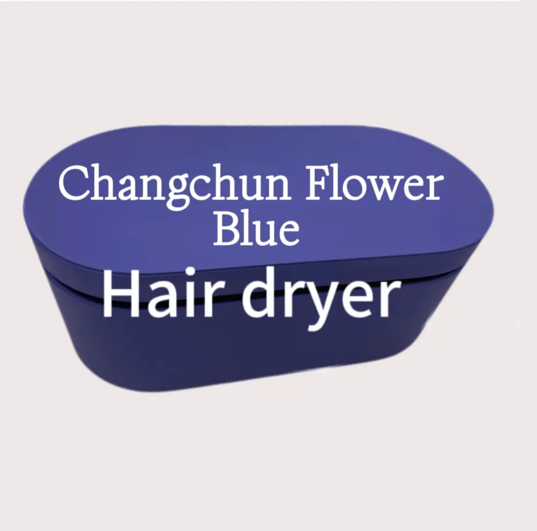 Salon 2024 Electric Hair Dryerr Negative Ion Professional Travel Home Temperature Adjustable Hair