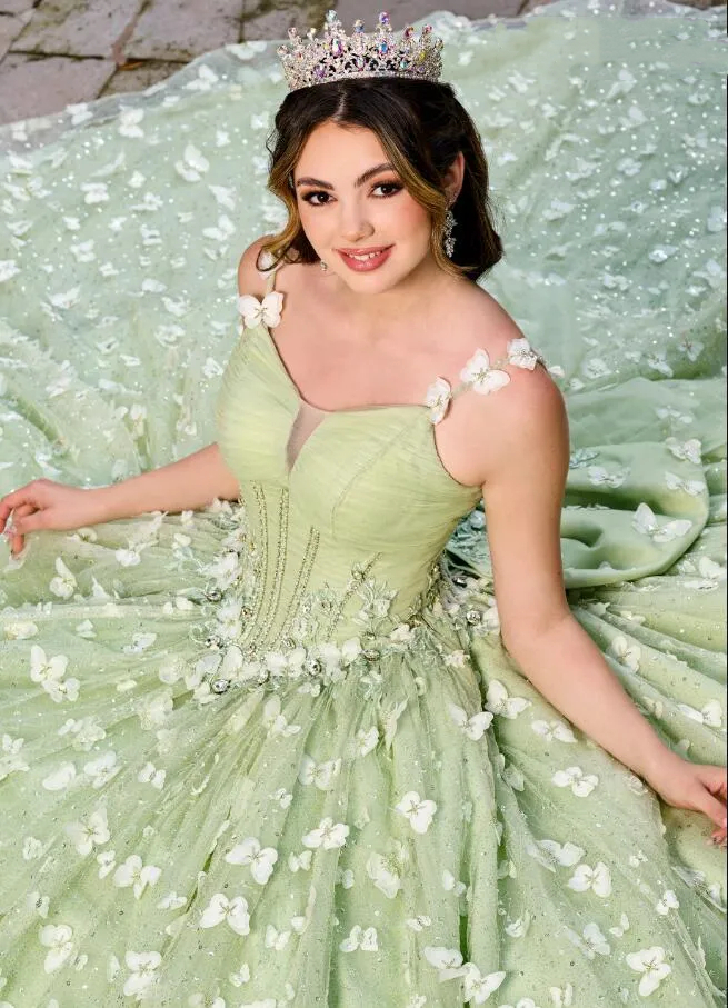 Sage Butterfly Princess Quinceanera Dresses With Bow Back Detachable Long Sleeves Straps Luxury Lace Prom Graduation Party Dress 2024 Floral Lace Vest