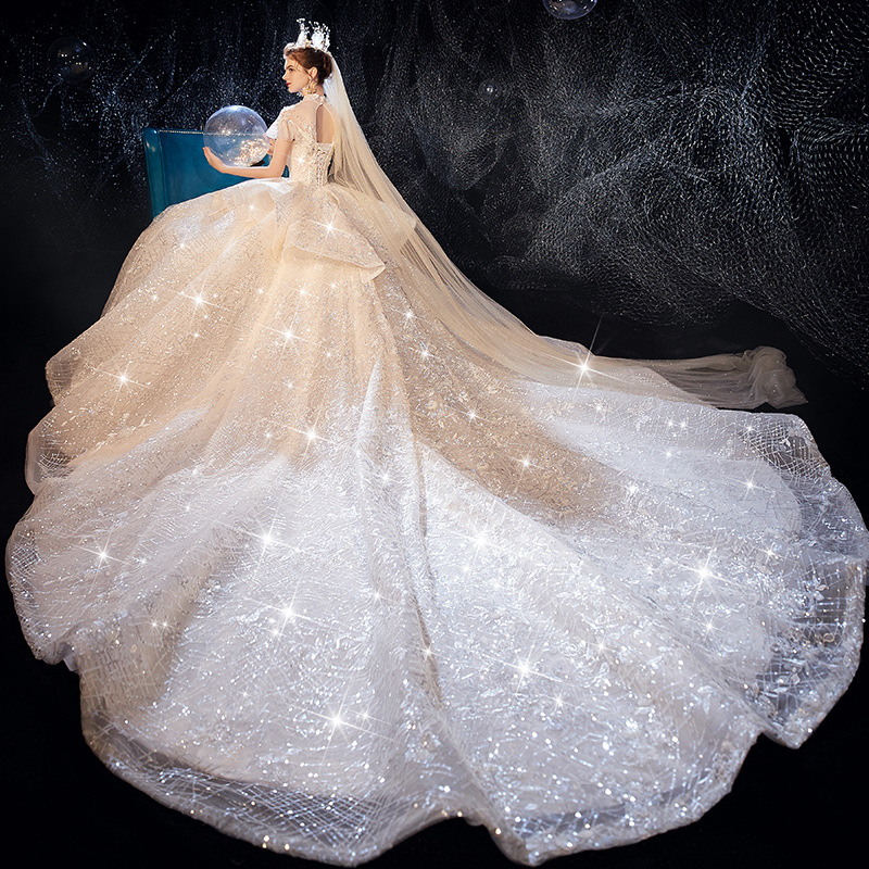 Princess Ball Gown Wedding Dresses Sleeveless High Collar 3D Lace Sequins Appliques Sweep Train Lace-up Bridal Gowns Celebrity Dresses Plus Size Custo