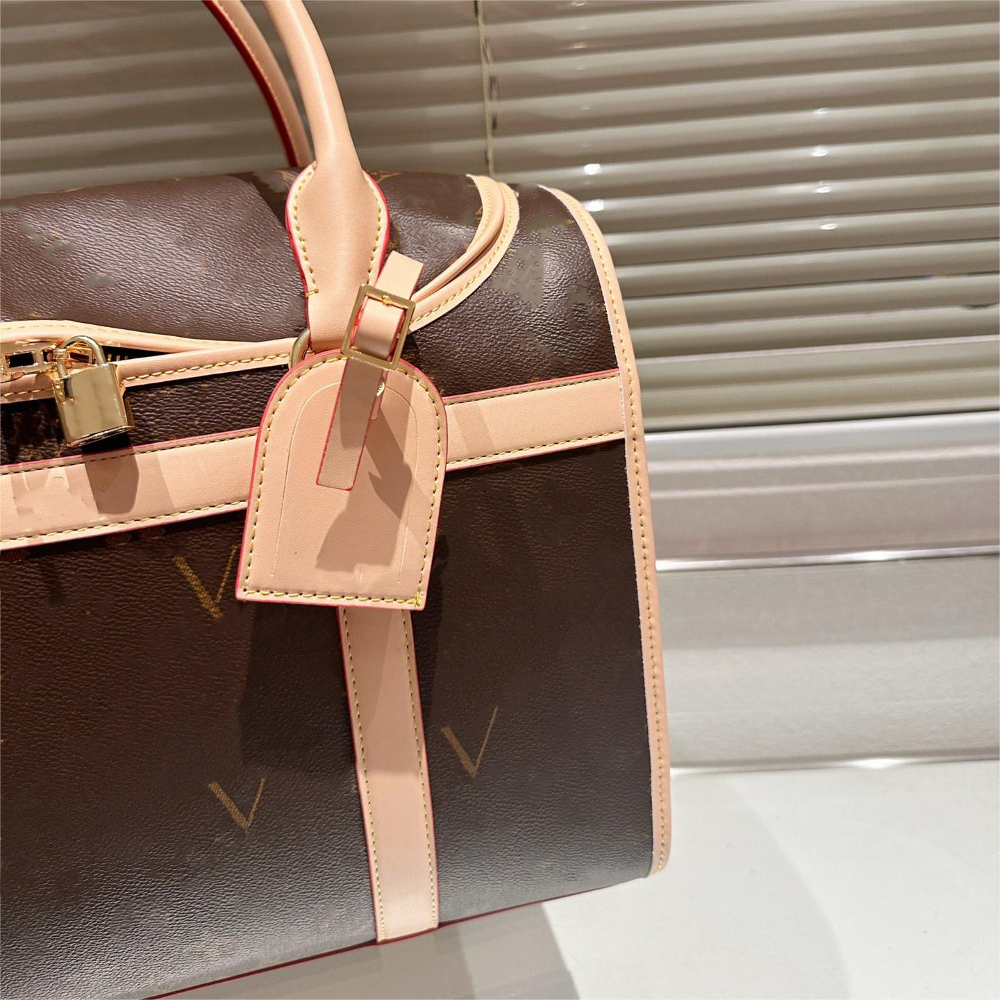Designer Pet Carrier Bags Leather Classic Pattern Outgoing Bag Teddy Aviation Web Window with Handles Tote Easy for Breathe