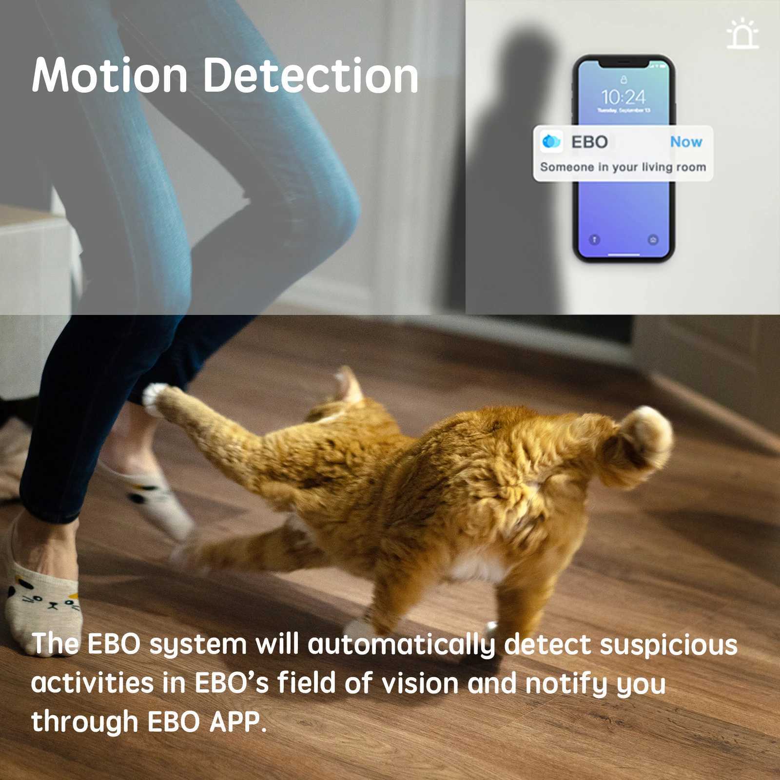 IP Cameras Enabot pet camera home safety camera mobile indoor WiFi camera 2-way call night vision 1080P video self charging robot d240510
