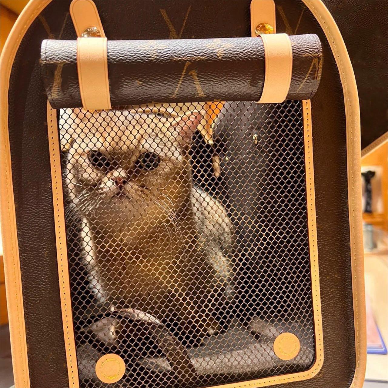 Designer Pet Carrier Bags Leather Classic Pattern Outgoing Bag Teddy Aviation Web Window with Handles Tote Easy for Breathe