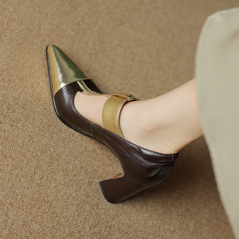Spring Mary Janes Women Shoes Pointed Toe Chunky Heel Pumps Genuine Leather Shoes for Women Elegant High Heels Buckle Heels 240428