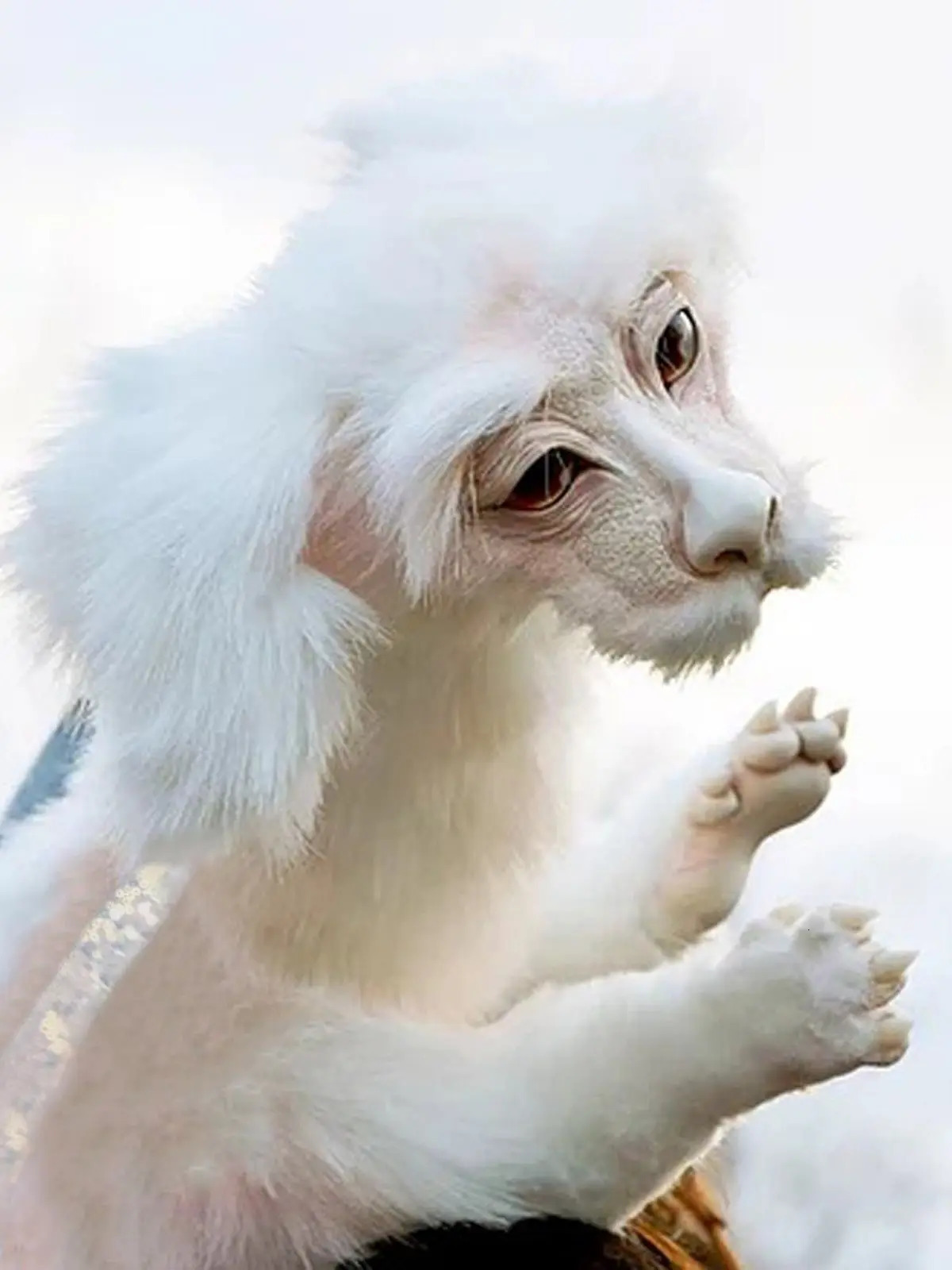 Funny Present Plush Doll Worm From Labyrinths Falkor From The Neverending Story Fuchur Hand-Made Baby From Labyrinths Toy 240511 - view 3