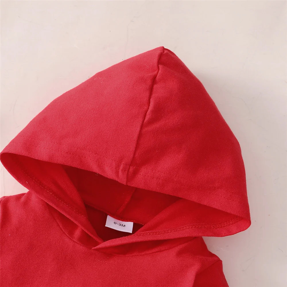 0-24 Months born Baby Boy Clothing Toddler Boy Clothes Long Sleeve Hooded Tops Pants Clothing Sets Baby Spring Infants Outfit 240512