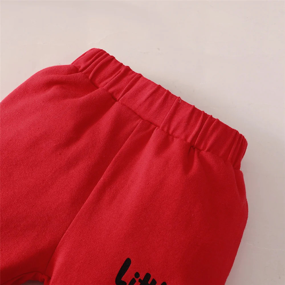 0-24 Months born Baby Boy Clothing Toddler Boy Clothes Long Sleeve Hooded Tops Pants Clothing Sets Baby Spring Infants Outfit 240512