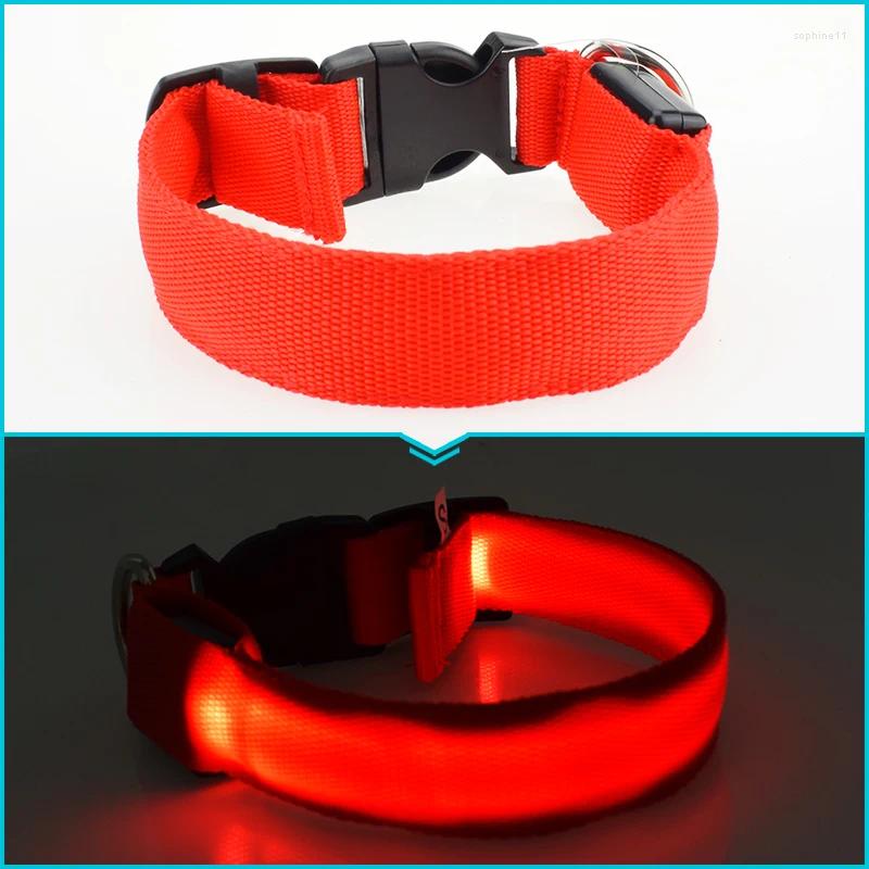 Update Dog Collars LED Nylon Collar Cat Harness Flashing Light Up Night Safety Pet 7 Color S-Xl Size Christmas Accessories
