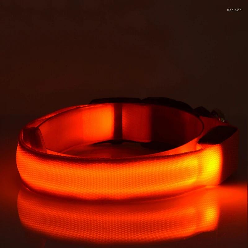 Update Dog Collars LED Nylon Collar Cat Harness Flashing Light Up Night Safety Pet 7 Color S-Xl Size Christmas Accessories