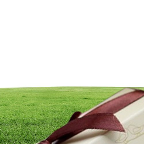 50pcslot25boxes Unique Wedding Gift of Love birds ceramic salt and pepper shakers Wedding favors and Love Party Favors