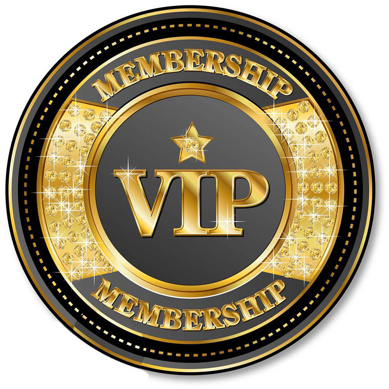 The VIP Payment link for the product has not been updated Top Quality Designer Bags Please Contact Us To Order Various Designer Bags Cosmetic Bags V1