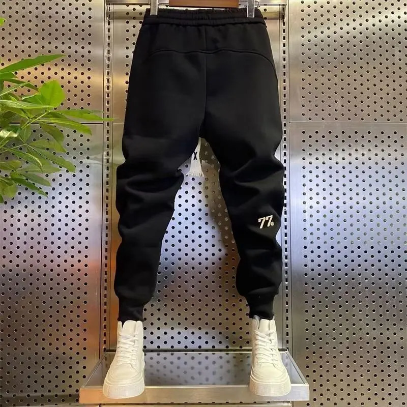 y2k korean man pants Winter Thick Plush Sport Pants men Drawstring Elastic Waist Harem Pants Casual Sweatpants streetwear 240513