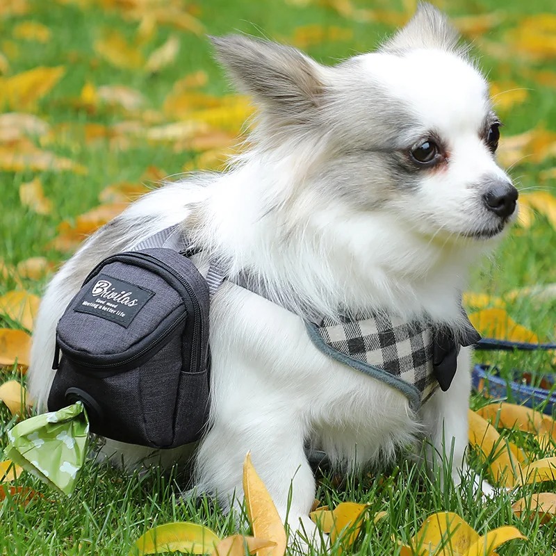 2025 new Treat Pouch Poop Dispenser Portable Multi-function training bag Outdoor Travel Dog Bag Durable Pet accessories