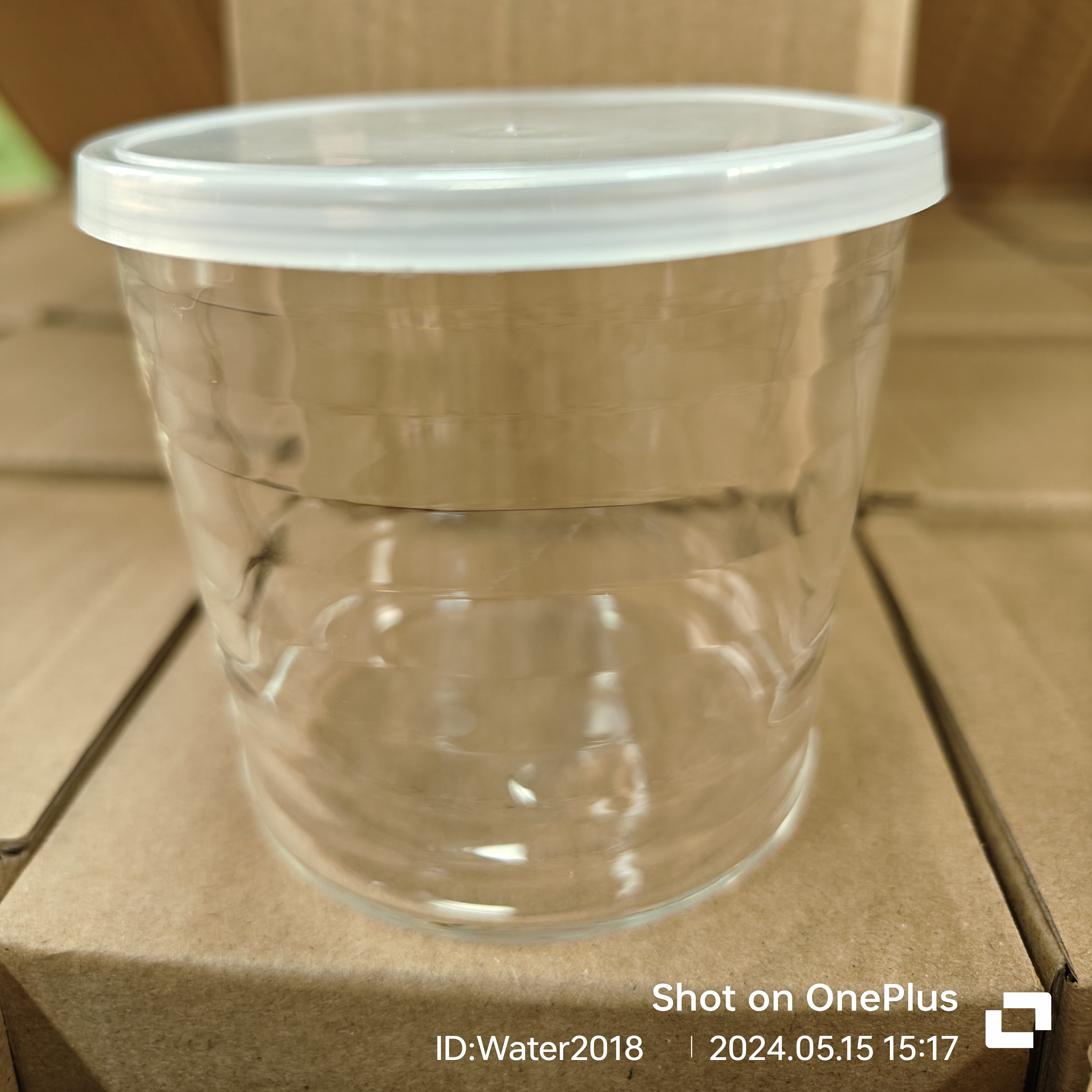 Glass Bowls With Plastic Lids Clear Pudding Cups Fruits Dish Glass Containers For Salad Dessert Snacks Freezer Food Storage Bowls