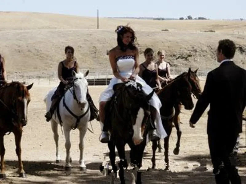 Elegant A Line Country Wedding Dresses White And Purple Embroidery Satin Bridal Gown Strapless Sleeveless Long Vintage Garden Vestido De Novia Lace-Up