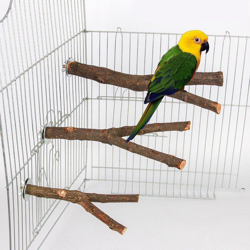 15/20/30cm Natural Wood Pet Parrot Raw Wood Fork Tree Branch Stand Rack Squirrel Bird Hamster Branch Perches Chew Toy StickD9091