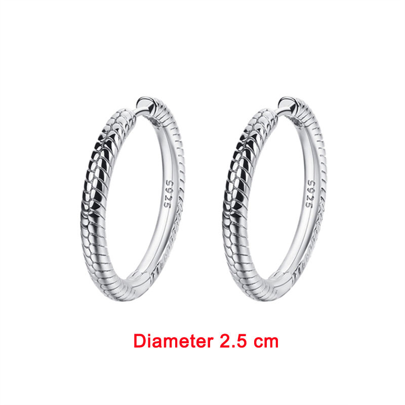 100% 925 Sterling Silver Pendiente Hoop Charm Earrings For Women Earrings Fit Original Charms Earrings Fine Jewelry Joyas Gift