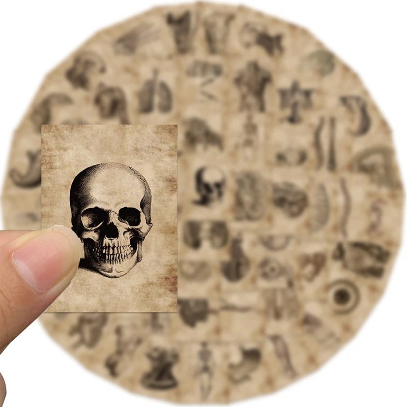 2025 10/30/56PCS Vintage Organ Diagram Sticky Graffiti Sticker Aesthetic Child PVC Phone new Decorative Sketchbook Scrapbook for Kids