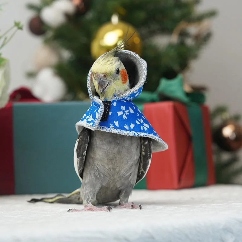 New Year Parrot Cloak Small Cloak Bird Clothes Double Thickened Cold Warm Xuanfeng Out Clothing Parrot Supplies
