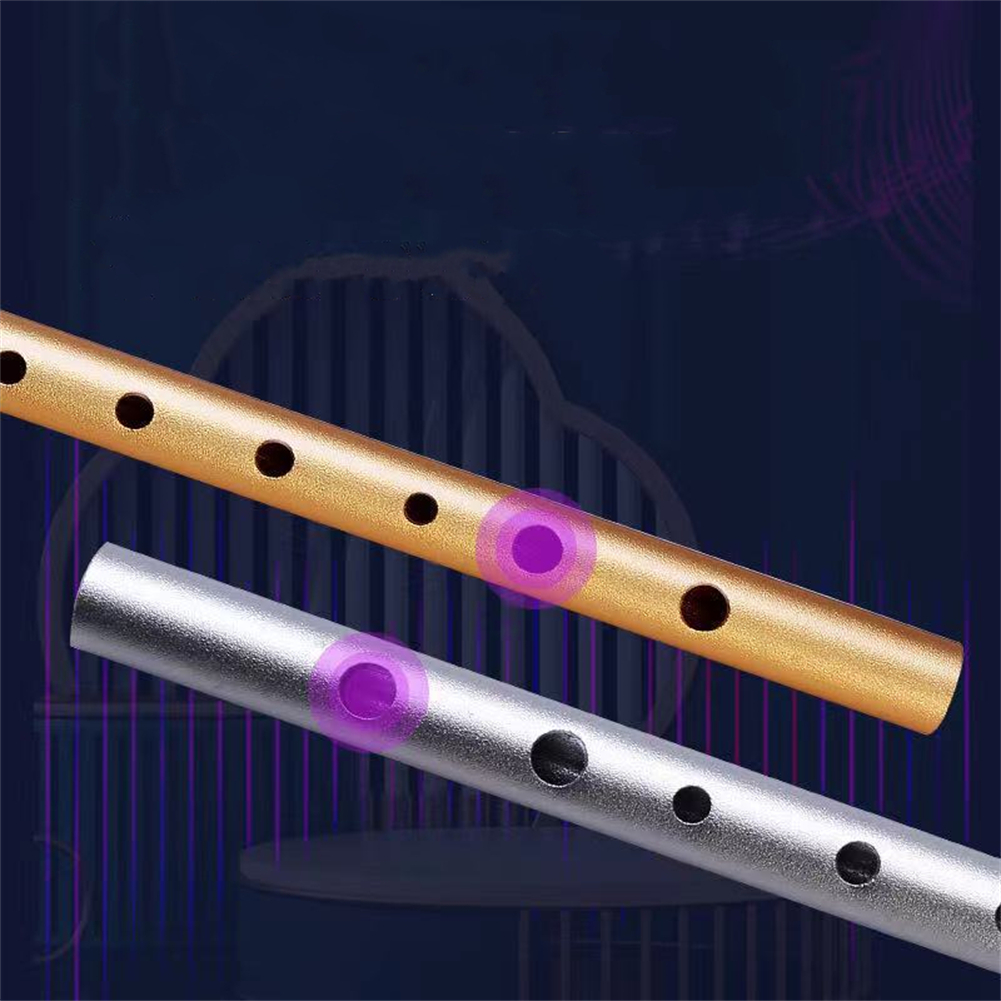 Brand New High Quality Musical Instruments Irish Whistle 6 Holes C/D Key Flute Instrument For Beginners High Low Notes