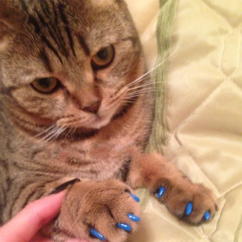 New FASHION colorful Cat 2025 Nail Caps soft cat Claw Soft Paws 20 PCS/lot with free Adhesive Glue Size XS S new M LGift for pet