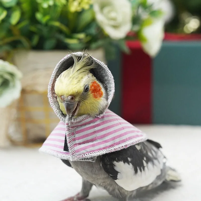 New Year Parrot Cloak Small Cloak Bird Clothes Double Thickened Cold Warm Xuanfeng Out Clothing Parrot Supplies