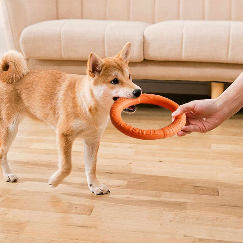 EVA Pet Toys Pet Pull Ring Outdoor Pet Dog Big Dog Interactive Toy Border Collie Training Training Pull Ring Resistant To Biting
