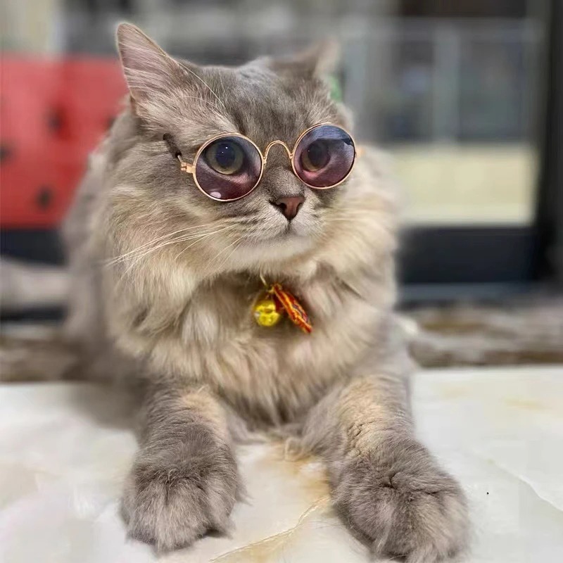 Cute Vintage Round Cat Sunglasses Reflection Eye wear glasses For Small Dog Cat Pet Photos Pet Products Props Accessories