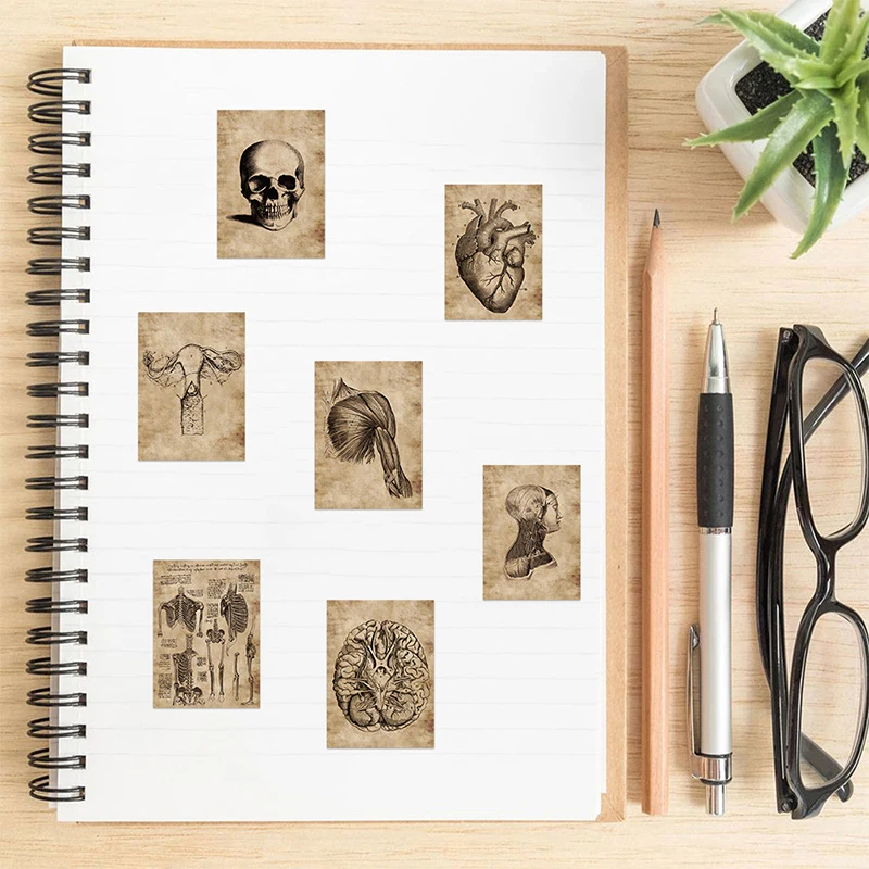 2025 10/30/56PCS Vintage Organ Diagram Sticky Graffiti Sticker Aesthetic Child PVC Phone new Decorative Sketchbook Scrapbook for Kids