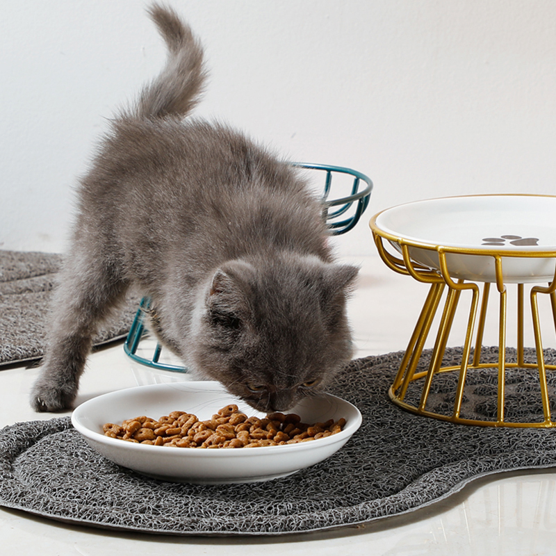 Pet Ceramic Bowl Cat Metal Bowl Rack Ceramic Drinking Feeding Bowl Snack Canned Food Plate Anti-Cervical Spondylosis Food Basin