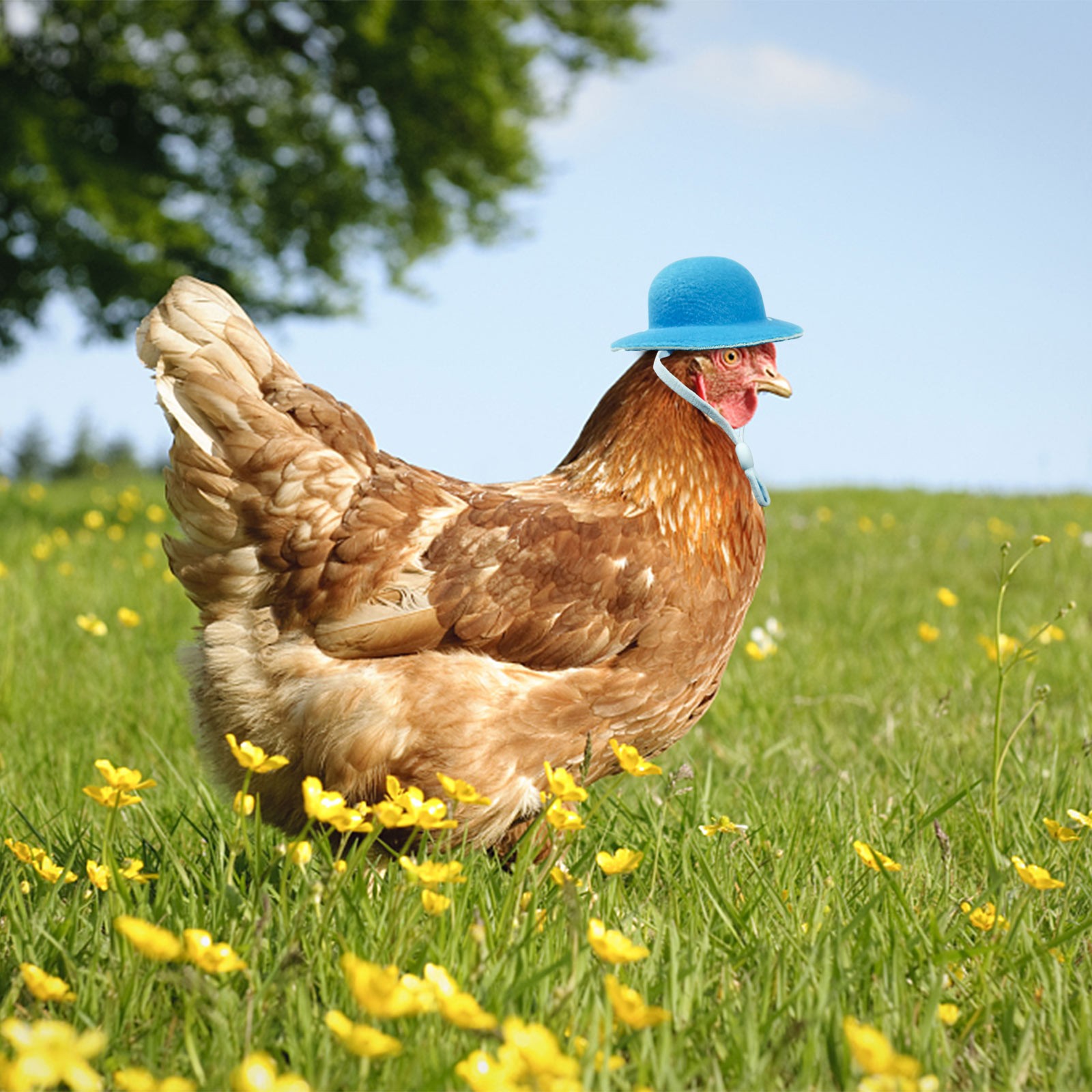 1/3/5pcs Chicken Hats Tiny Pets Funny Chicken Accessories Adjustable Feather Hat For Hens Rooster Duck Poultry Stylish Show