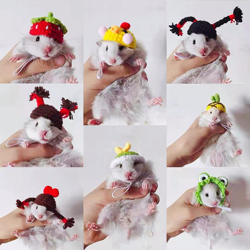 Toy Supplies Pet Caps Parrot Pet Hat Bird Knitted Hat Hamster Hat Hamster Accessories Dollhouse Supplies