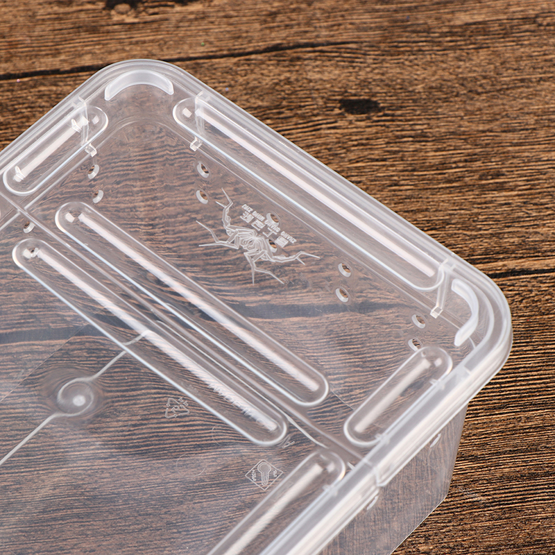 1PCS Reptile Tank Insect Spiders Tortoise Lizard Acrylic Transparent Breeding Box Vivarium Lid Reptile Pet Product