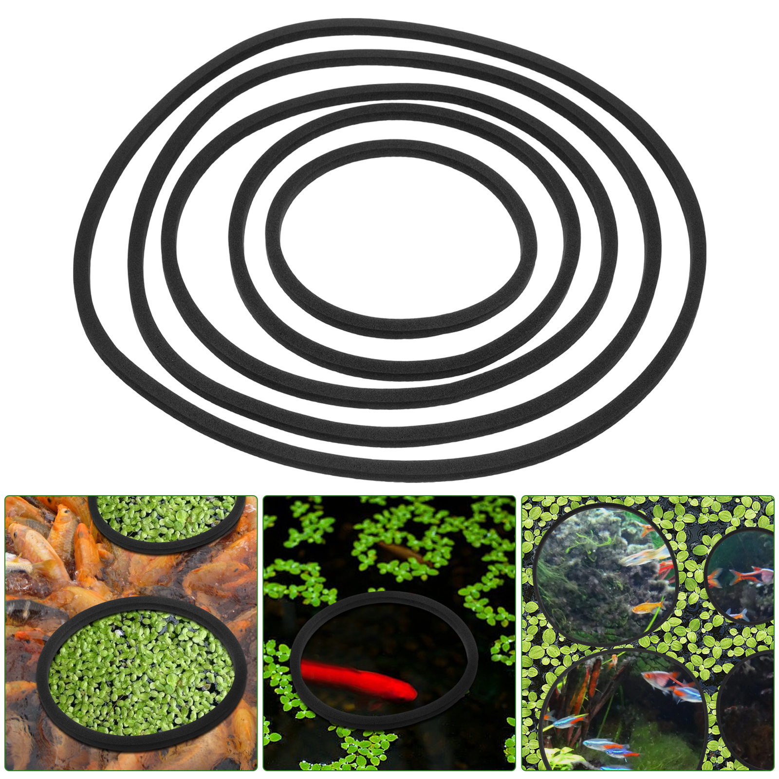 5 Pcs Fish Tank Grass Retaining Ring Pet Feeder Large Aquarium Plants Rings Tool Floating Eva for Holder